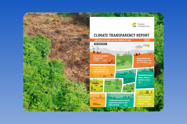 Estudo: Desmatamento zero é melhor chance do Brasil avançar em performance climática