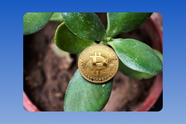 O menos-carbono convertido em criptomoeda do clima_Alfredo Sirkis