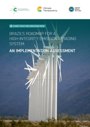 Caminhos do Brasil para um sistema de comércio de emissões de alta integridade uma avaliação de implementação
